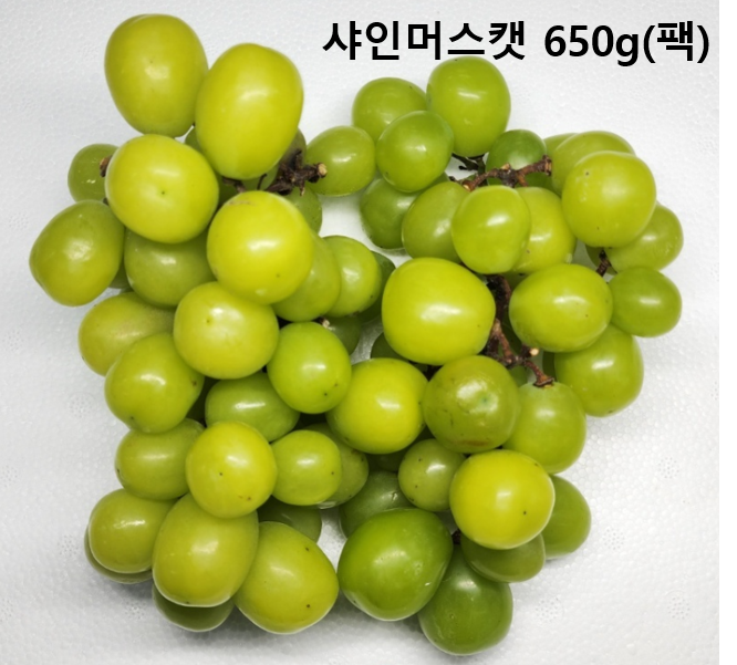 이미지2